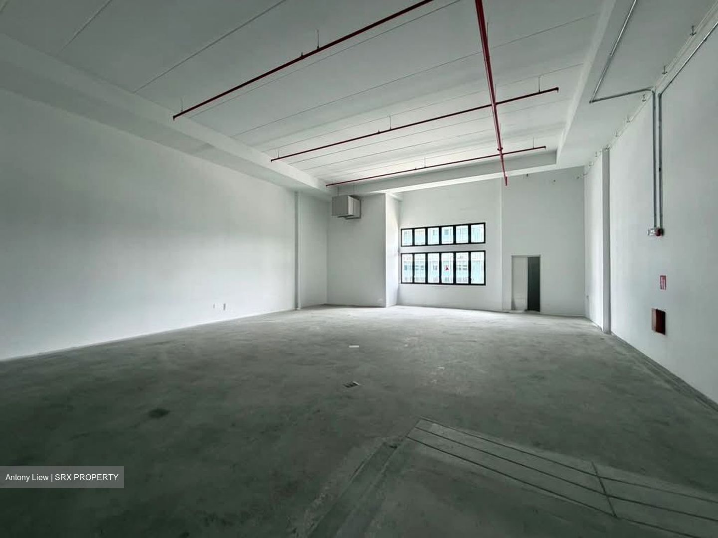 Ct Foodnex (D25), Factory #553868201